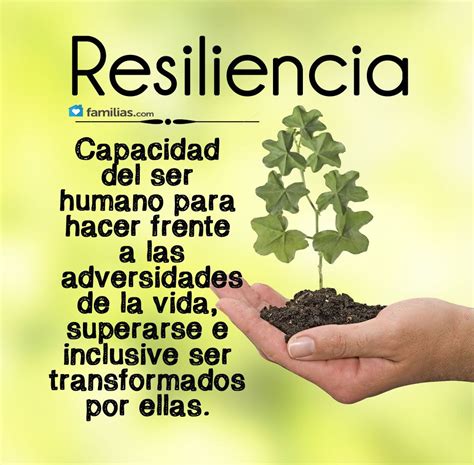 significado resiliencia